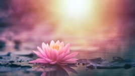 Мъдри мисли, с които да започнете деня си 