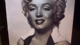 Мисъл на деня