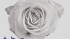 За първи път най-доброто от Депеш мод