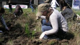 Засадихме заедно 300 цветя за 300 бебета повече!