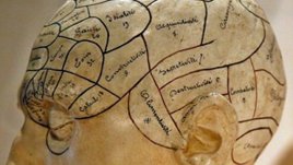 Лепенка на челото помага при епилепсия и депресия