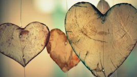 Мисъл на деня за... това, което не ценим