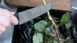 Хартия от рози представя България в 30 страни