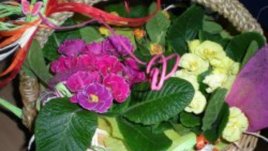 Да отглеждаме цветя през зимата