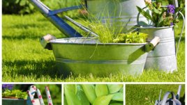 5 основни грешки при поддържането на градината