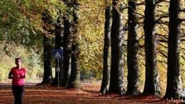 Кога да тренираме през деня?