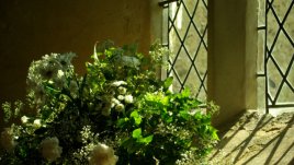 Мисъл на деня