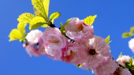 Мисъл на деня