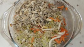 Кълнове – безценна храна за зимата