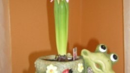 Важен ли е размерът?