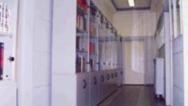 Някои събития от Унгарския културен институт за февруари 2011