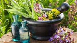 6 мощни билки срещу мигрена