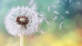 Невероятни факти за природата