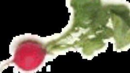 Таратор от репички