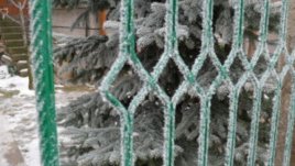 Нова година и 1000 спомени от една улица