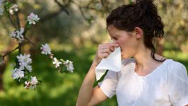 Митове за сезонните алергии