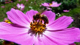 Честит ден на труда!