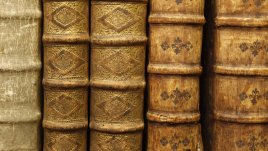 Мисъл на деня