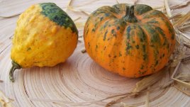 Всички супи с тиква на едно място