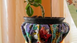 Зимният дом на цветята – направете го по-уютен и цветен