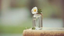 Мисъл на деня за... подкрепата към другите