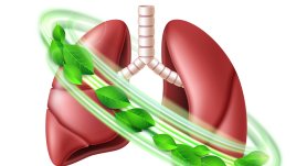 5 билки за респираторното здраве