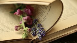 Мисъл на деня... за споделеното щастие