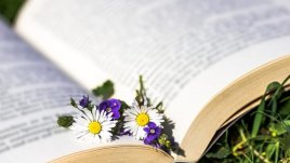 Мисъл на деня за... фалшивостта край нас