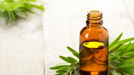 Ползи от маслото от чаено дърво за кожата