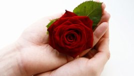 Домашни маски за ръце