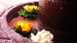 Ще се справим ли с жегата през лятото?