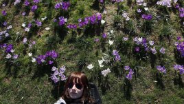 С електроника сред природата