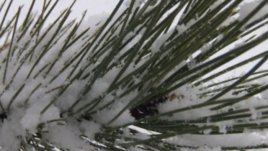 Женска програма за зимна събота и неделя