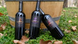 Триумф за българското вино на конкурс в Париж