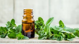 Етерично масло от мента – защо е полезно и как да го използвате