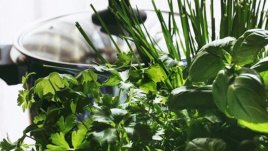 Най-добрите билки при задържане на излишни течности