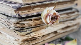 Мисъл на деня от Габриел Гарсия Маркес  