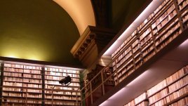 Мисъл на деня