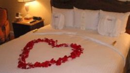 Секс симфония за четири крака и четири ръце