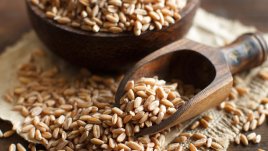 Здравословни ползи от спелтата 