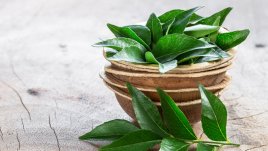 Грижа за косата с листа от къри 