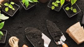 5 стъпки за подготовка на градината за пролетта 