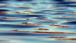 Мисъл на деня за... водата