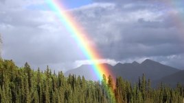 Мисъл на деня за... дъгата