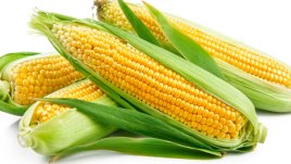 Храни, за които не сте подозирали, че можете да замразите 