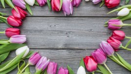 Значението на цветята, подарявани за Свети Валентин