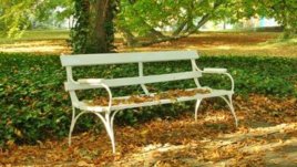 Предложения за почивните дни – 29 и 30 октомври