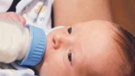 Бисфенол A води до поведенчески проблеми