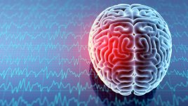 5 начина, по които стресът вреди на мозъка