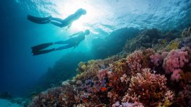 Здравословни ползи от морската вода